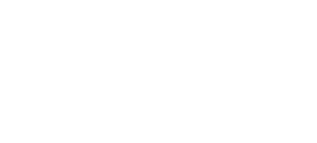 safeguard logo White